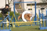 IMG_0994