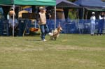 IMG_8544