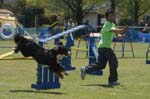 IMG_8832