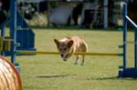 IMG_8987