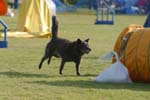 IMG_9100