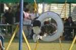 IMG_9165