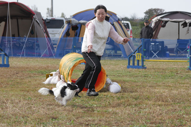 193IMG_0877