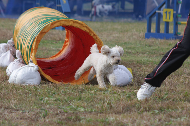 195IMG_0881