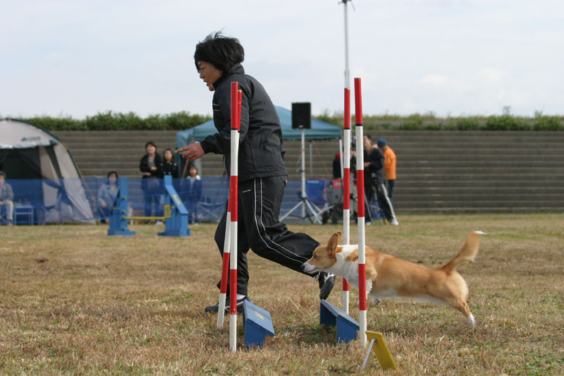 196IMG_4138