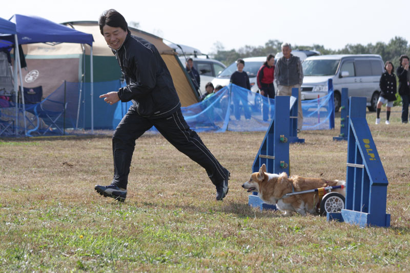 217IMG_1011