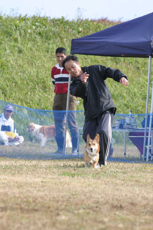 241IMG_4260