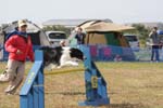 215IMG_0995