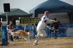 216DSC_9879