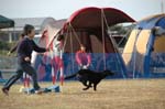 217DSC_9888