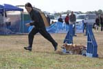 217IMG_1011