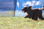 220IMG_4195