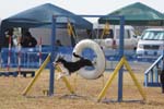 221IMG_0986