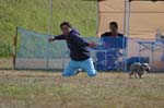 223IMG_4208