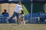 224IMG_4212