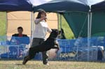 226IMG_4215