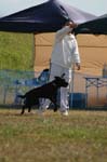 227IMG_4218
