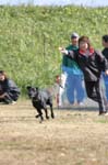 233IMG_4237