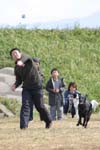 239IMG_4253