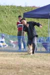 241IMG_4260