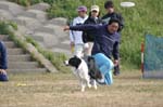 243IMG_4267