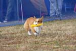 251IMG_1021
