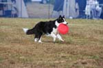 252IMG_1027