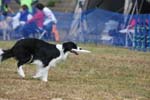 253IMG_1031