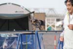 264IMG_1054