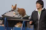 265IMG_1059