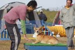 272IMG_1071