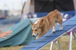 272IMG_1072