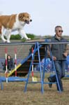 281IMG_4349