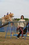 283IMG_4353