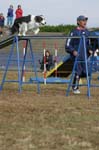 284IMG_4355
