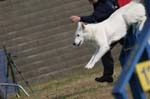 285IMG_4356