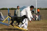 288IMG_4365