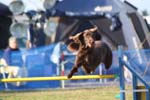 297IMG_1183