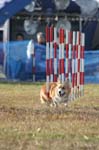 315IMG_4425