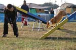 325IMG_4445