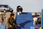 329IMG_1298
