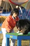 337IMG_4479