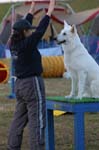 340IMG_4488