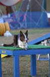 344IMG_4496