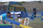 346IMG_4500