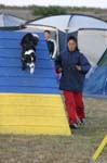 347IMG_4506