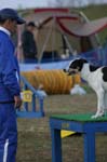 348IMG_4508