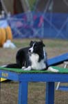 350IMG_4513