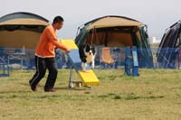 IMG_0388