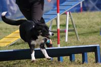 IMG_0394